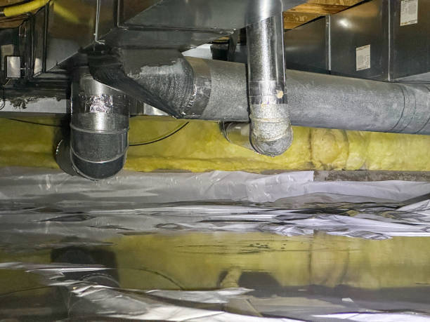 Best Basement Water Damage Restoration in Columbus, MN