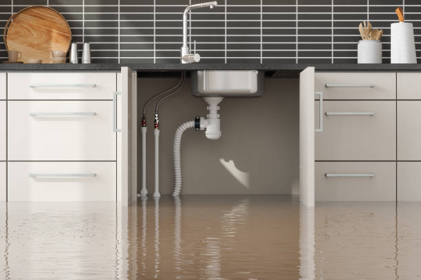 Trusted Water Damage Restoration in Columbus, MN | Fast, Reliable, and Ready to Assist You